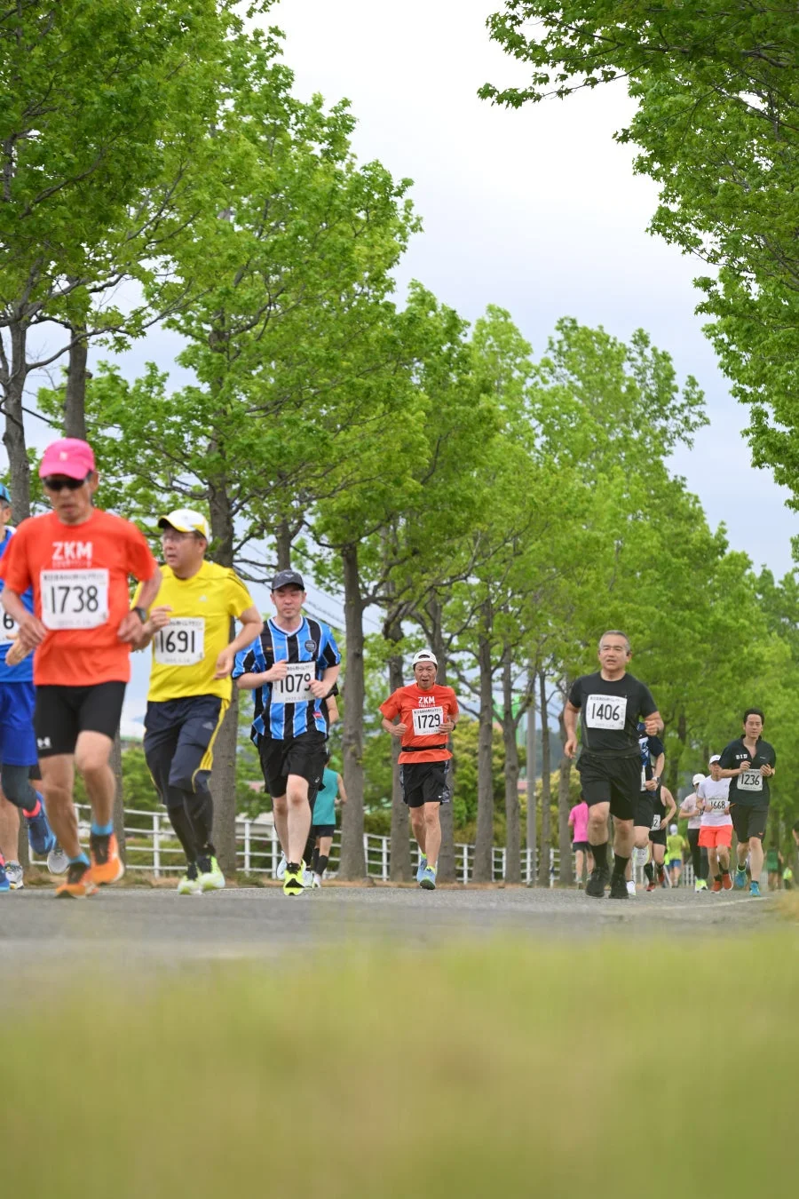 新緑の道を走るマラソン参加者たち