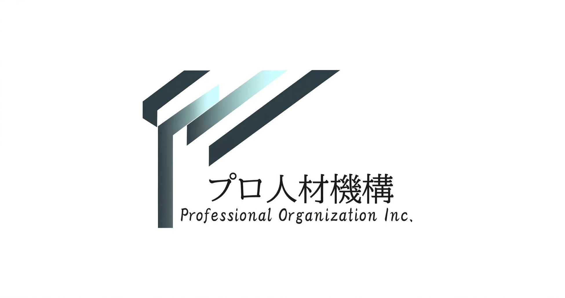 プロ人材機構 Professional Organization Inc.