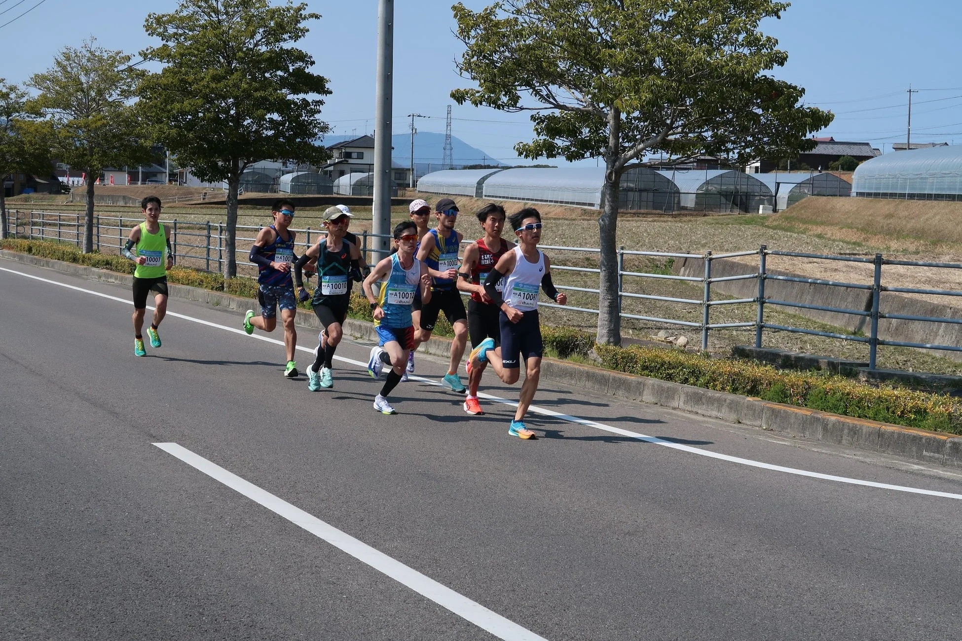 マラソン、ランニング、競技、スポーツ、走者、男性、屋外、道路、樹木、晴れ、温室、田舎道、レース、アスリート