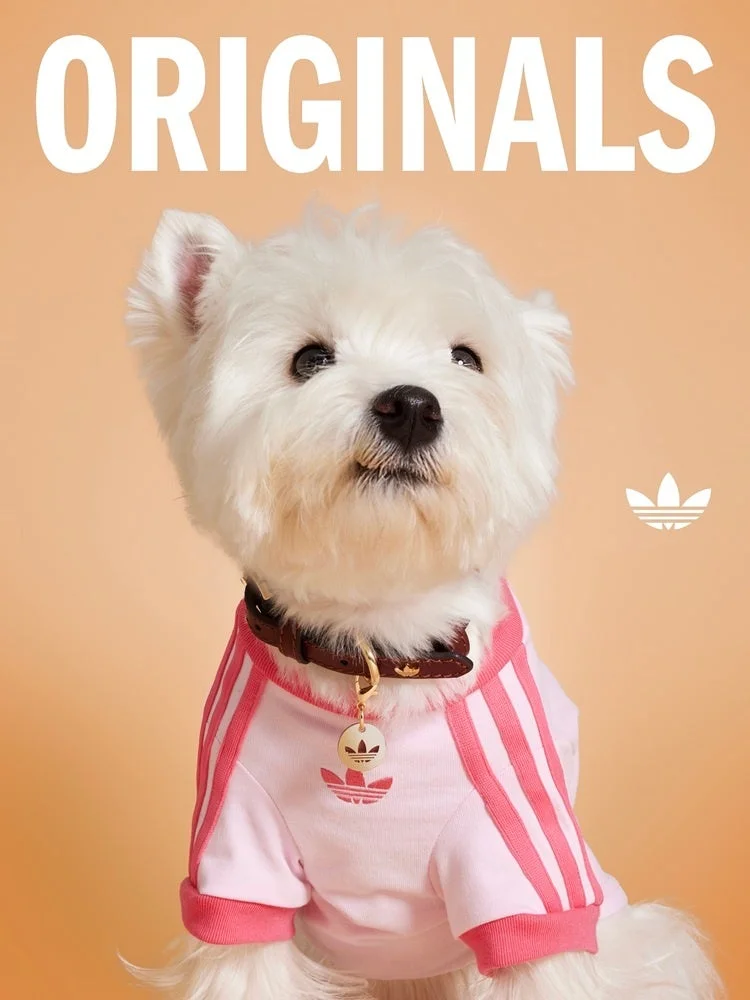ペット用アディダスオリジナルスTシャツ