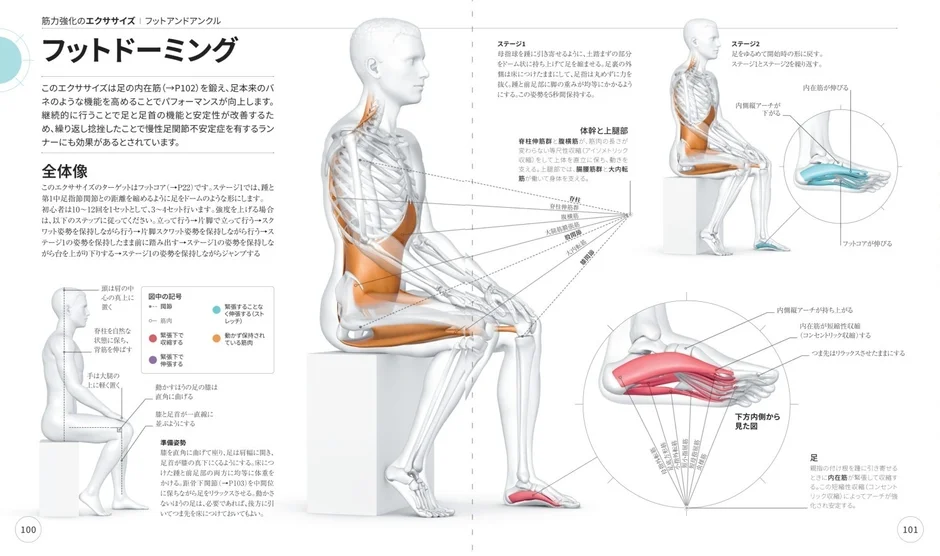 足の内在筋を鍛えるフットドーミングエクササイズ