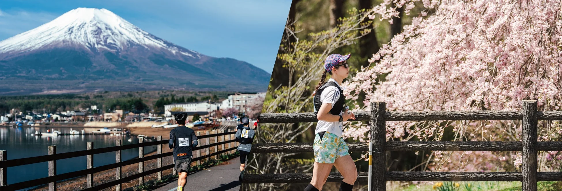 富士山と湖を背景に走るランナー、桜並木を走るランナー