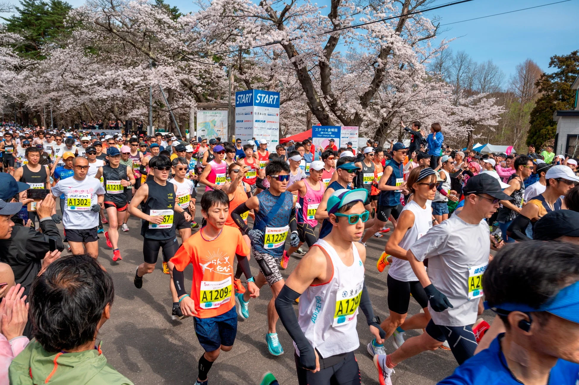 桜並木を走るマラソンランナー