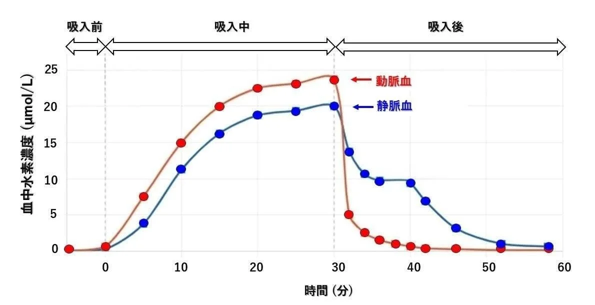 動脈血と静脈血における血中水素濃度の時間経過変化を示すグラフ